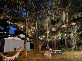 Nature Coast Getaway #2 - Comfy 2 Bedroom